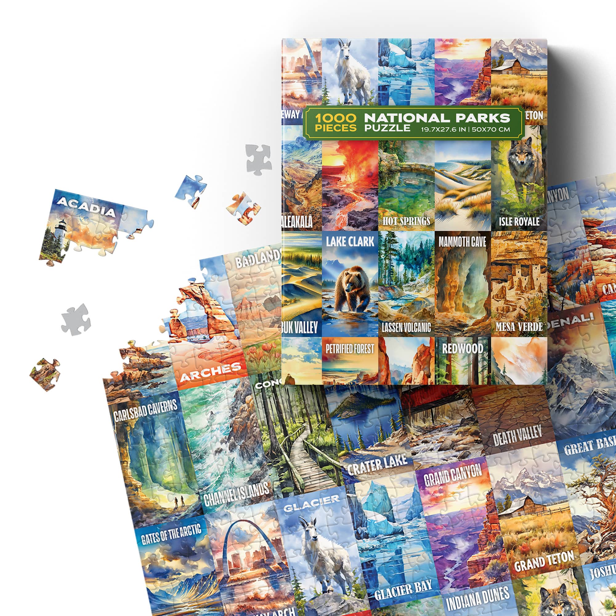 Board game featuring colorful pieces on a map with national park locations.